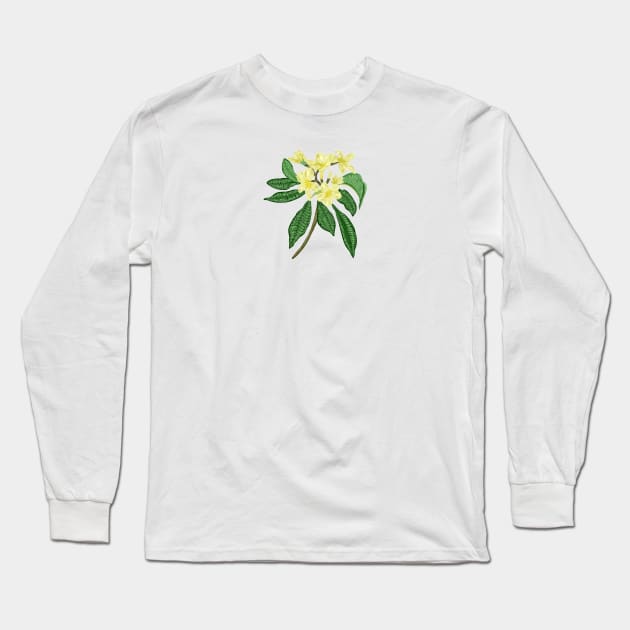 Frangipani Botanical Long Sleeve T-Shirt by Salfiart